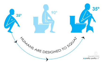 Siddestillingen er vigtig på toilettet